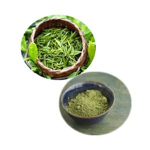 100% ekstrak bubuk teh hijau alami murni 98% polifenol - Product Image 4