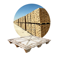 Grande palette en bois moulé pressé 32" x 48" pour entrepôt et logistique, palette en bois moulé pressé 1000mm x 1200mm MDI