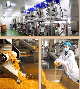 Materia Prima de Pellets de Camarón de Tres Colores para la Producción de Snacks Fritos - Product Image 5