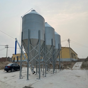 Silo <span class=keywords><strong>de</strong></span> <span class=keywords><strong>stockage</strong></span> d'aliments <span class=keywords><strong>pour</strong></span> volailles et porcs en acier, avec trémie inférieure - Product Image 5
