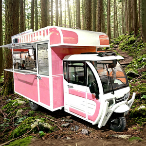 Modèle 2026 le plus récent, couleur et taille personnalisées, chariot de restauration à trois roues, une variété de couleurs, camion de restauration électrique pour l'extérieur - Product Image 1
