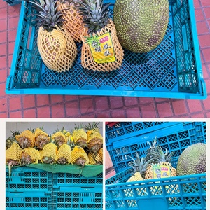 Plastic Foldable <b>Crates</b> Plastic <b>Crates</b> for Fruits and Vegetables Agricultural Collapsible Plastic <b>Crate</b> - Product Image 4