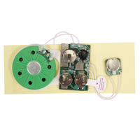 Module sonore programmable USB avec bouton-poussoir pour enregistrement vocal, puce audio musicale, puce sonore programmable pour carte de Noël