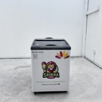 Mini congélateur à glaces, congélateur coffre commercial, vitrine réfrigérée compacte pour aliments surgelés