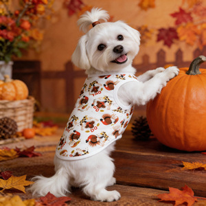 Ropa para perros pequeños, chaleco de verano para perros Teddy Bear, ropa multicolor antidesprendible para mascotas de Acción de Gracias - Product Image 5
