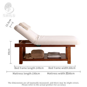 Tragbare Elektrische Verstellbare Multifunktionale Massageliege SPA-Liege Salonliege zu verkaufen DMC16 - Product Image 6