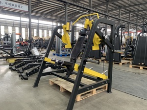 Chine Usine Vente Directe Musculation Plaque Commerciale Chargée Pull Over <span class=keywords><strong>Gym</strong></span> Equipment Machine pour Arm Curl - Product Image 2