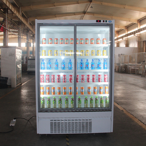 Réfrigérateur Vitré Vertical à 2 Portes pour Boissons, Vitrine Réfrigérée Congélateur DDU - Product Image 6