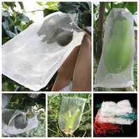 Fruit Insectennetzak/Boombescherming Anti Insectennetzakken Guave Fruitbeschermingszak/Fruitnetbescherming Zak Insect