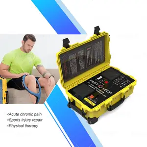 PMST LOOP Pulsed electromagnetic field therapy PEMF Physical Therapy Equipments Portable PEMF Horse PMST LOOP For Veterinary Equ