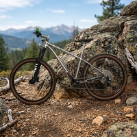 Vélo de montagne en titane VTT 12 vitesses Frein à disque Fourche à suspension Hardtail