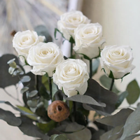 Großhandel Konservierte Rote und Weiße Langstielige Echte Rosen Ewige Blumen für Immer Haltend Valentinstag Geschenkblumen