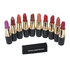 Lipstik Matte Lembut 20 Warna untuk Pilihan Lipstik Makeup Label Pribadi Stik Bibir MSDS Herbal Tahan Air