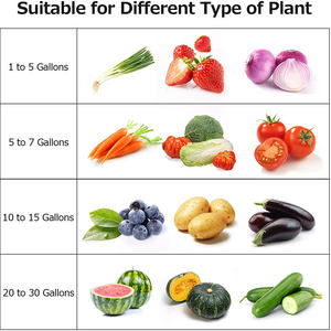 Jardinière personnalisée <span class=keywords><strong>en</strong></span> plastique 1 3 5 7 10 20 30 50 gallons sacs de culture Pots pour jardin pomme de terre feutre tissu plante Hugger - Product Image 6