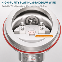 Sensor Suhu Tinggi Termokopel Platinum Rhodium Tipe S dengan Tabung Keramik Alumina, Berperingkat IP55, Dilengkapi WiFi, ODM OEM untuk Industri