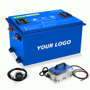 Ingebouwde Bms Lifepo4 48 Volt Nmc Golfkar Batterij 48 V 50ah 100ah 200ah Lithium Ijzer Fosfaat Batterij Golfkar - Product Image 1