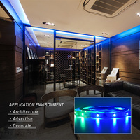 Bande lumineuse LED 5050 RGB double couche PCB 30 LED 10 mm 10 pixels pour éclairage dynamique de scène, KTV, bar et projets d'ambiance