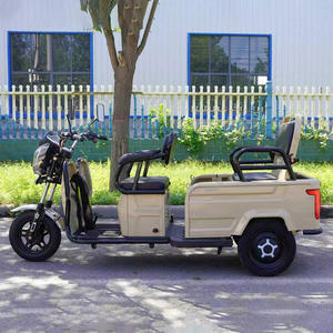 Tricycle électrique silencieux pour événements professionnels, <span class=keywords><strong>transport</strong></span>, livraison de courrier et de <span class=keywords><strong>colis</strong></span>, accessoires - Product Image 2
