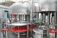 Machine de remplissage entièrement automatique 2-en-1 pour bouteilles de 500 ml et 2 L, idéale pour l'extraction d'huiles essentielles et l'huile de tournesol (1 L)