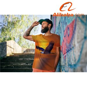 Camiseta en 3D para hombres, camisa con estampado de águila Soaring, divertida, informal, bonita, de Anime, con llama, venta al por mayor - Product Image 5