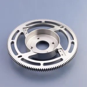 High Precision Custom Double Straight Tooth Plastic Worm Gear