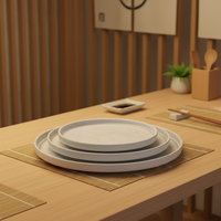 Nouvelles assiettes plates en mélamine rayées incassables de 8,1 pouces de diamètre