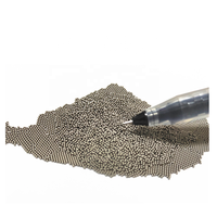 Bille en acier inoxydable 1/16 1.588mm SUS304 pour billes de roulement de haute qualité en braille