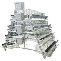Cages en batterie pour poules pondeuses d'élevage avicole