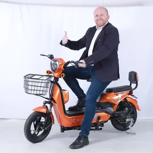Diskon besar-besaran pabrik sepeda elektrik skuter listrik harga murah grosir Tiongkok untuk dewasa 48V baja karbon tanpa sikat 14"