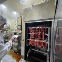 Nouveau Four à Fumage Commercial Automatique pour la Transformation de Viande (Silure, Saucisses, Bacon, Dinde) – Écoénergétique en Acier Inoxydable