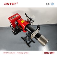 Brûleur à gaz pour chaudière BNG50/60P, système de chauffage industriel à deux étages, alimenté au gaz naturel GPL, brûleur à économie d'énergie
