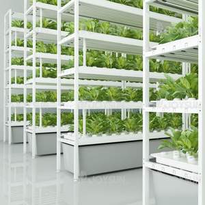 גדול פנימי hydroponics אנכי מקורה מדף צמח צמח cea עבור ירקות פירות עלים ירוקים גיליון חממות מחשב לגדול - Product Image 1