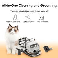 Sèche-cheveux portable pour animaux de compagnie, tondeuse, aspirateur, kit de toilettage 5 en 1, 4 peignes, faible bruit, pour chien et chat