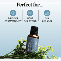 Mélange d'huiles essentielles rafraîchissantes pour la respiration avec eucalyptus, menthe poivrée, arbre à thé et menthe pour diffuseurs, aromathérapie pour la maison et la douche