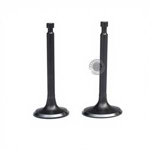 Válvulas de Admisión y Escape para Generador de Motor de Gasolina de 6.5/7.5HP, Piezas de Bomba de Agua 168F170FGX160 200, Vástagos de Válvula para Agricultura - Product Image 5