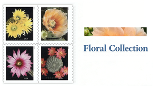 Album de <span class=keywords><strong>timbres</strong></span>-<span class=keywords><strong>poste</strong></span> et étiquettes pour envoi postal, avec motifs fleurs de cactus 2019, pour <span class=keywords><strong>la</strong></span> collection de <span class=keywords><strong>timbres</strong></span> permanents et de papier de bureau - Product Image 6