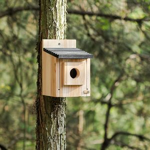 Petite maison pour oiseaux en bois naturel <span class=keywords><strong>avec</strong></span> motif animal, style tendance, fermeture à bouton, design coupe-vent, forme de trou d'arbre - Product Image 3