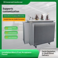 Transformateur de puissance immergé dans l'huile S13, double enveloppe, 10-35 kV, haute tension, triphasé, 250-315-630 kVA, 60 Hz, 400 kV