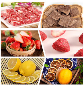 <span class=keywords><strong>10</strong></span> <span class=keywords><strong>kg</strong></span> 6 plateaux lyophilisateur bonbons lait fruits séchage des aliments lyophilisateur Machine prix de l'équipement pour la maison avec <span class=keywords><strong>pompe</strong></span> à vide sans huile - Product Image 5