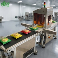 Équipement de test visuel du code de date sur les sacs d'emballage alimentaire, unité de tri automatique des défauts par inspection des caractères sur convoyeur