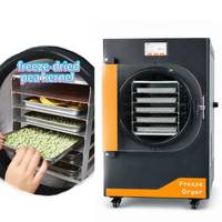 Huis- en kleine-bedrijven 6kg per batch 110V/220V Amerikaanse standaard eenvoudig te bedienen fruitvriesdroger met 5 trays
