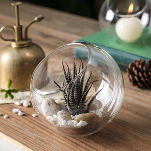 <span class=keywords><strong>Vasi</strong></span> in Vetro a Doppia Parete con Taglio Obliquo Personalizzati, Terrari Globo, Portacandele per Decorazione - Product Image 3