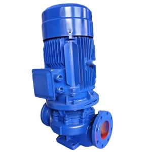 Bomba de Agua Eléctrica Profesional Personalizada, Bomba Centrífuga Vertical de Una Etapa para Tuberías - Product Image 1