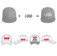 Gorras Snapback con Logo Impreso Personalizado Gorras de Béisbol de Visera Plana sin Diseño Sombrero con Bordado y Logo Personalizado