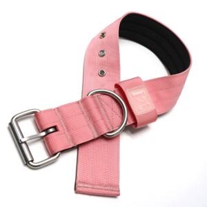 Collier pour chien rose robuste avec doublure rembourrée douce, boucle à ardillon pour chiens de taille moyenne et grande, nylon durable et quincaillerie métallique - Product Image 1