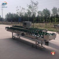 Automatische doosgewicht sorteermachine, eenvoudige bediening, PLC-besturing, gewichtsselectie-apparatuur voor fruit- en groenteverwerkingsbedrijven