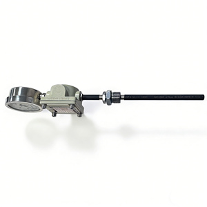 Termometer Tekanan <span class=keywords><strong>Gas</strong></span> WTZd-285 Tampilan Analog Tahan Panas Keluaran Sinyal Nanyang Huaye Zhang Heng - Product Image 6