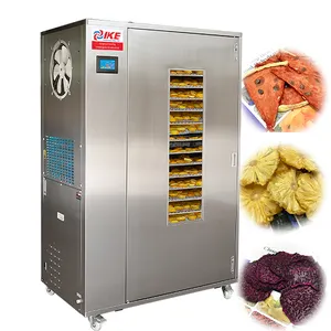 Secador de alimento bomba de calor amplamente usado, secador de abacaxi pitaya flor inseto máquina de secagem