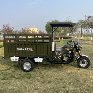 Triciclo de servicio pesado de 250cc con <span class=keywords><strong>3</strong></span> ruedas, cuerpo abierto, eléctrico, motorizado, de pasajeros y carga, gran oferta en China - Product Image 2