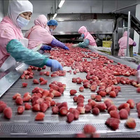 Automatische Groente Fruit Bevroren Molokhia Machine Bevroren Molokhia Verwerkingslijn